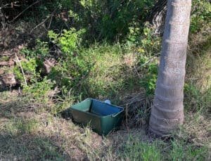 mosquito trap resting in the shade near a tree